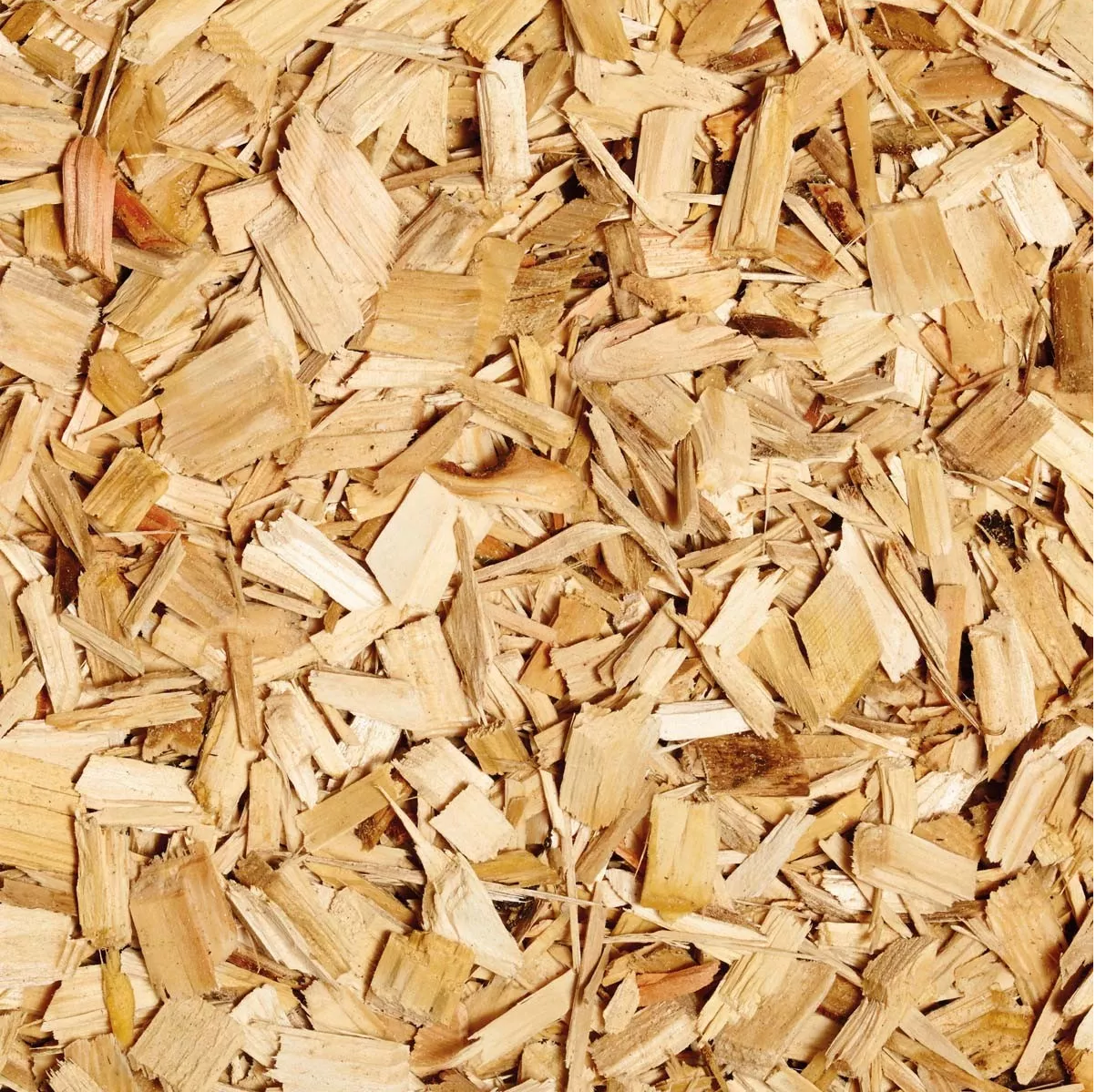 Softwood chip Approx.1000L bulk bag